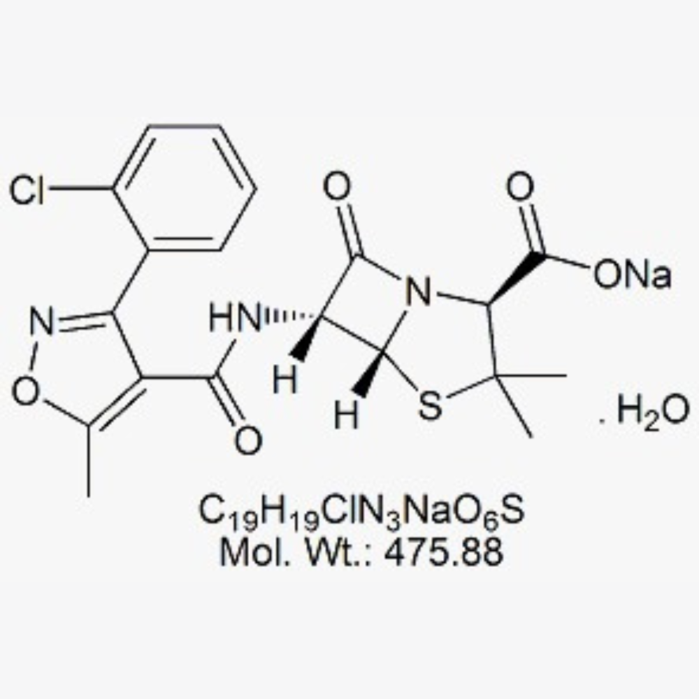 Cloxacillin Sodium (Monohydrate)